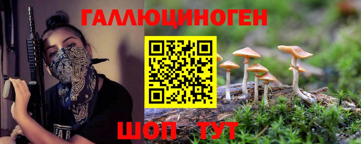 Галлюциногенные грибы GOLDEN TEACHER Сатка